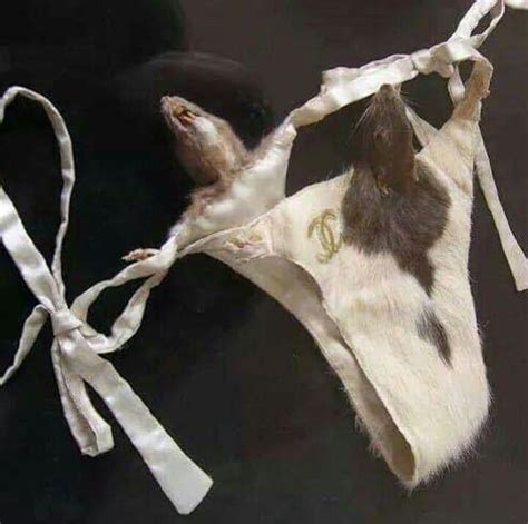 chanel rat thong|Thongs .